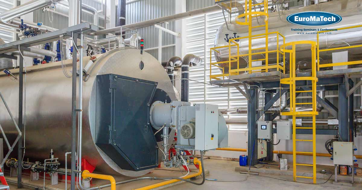 Boilers: Operation, Maintenance, Inspection, Control and Troubleshooting