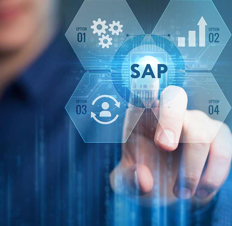 SAP Enterprise Resource Planning