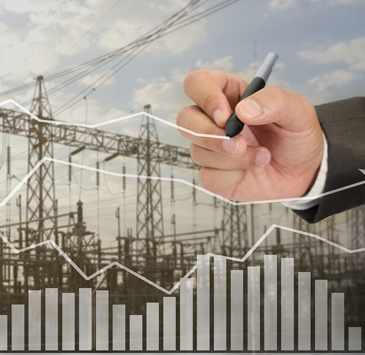 Electricity Economics and Markets