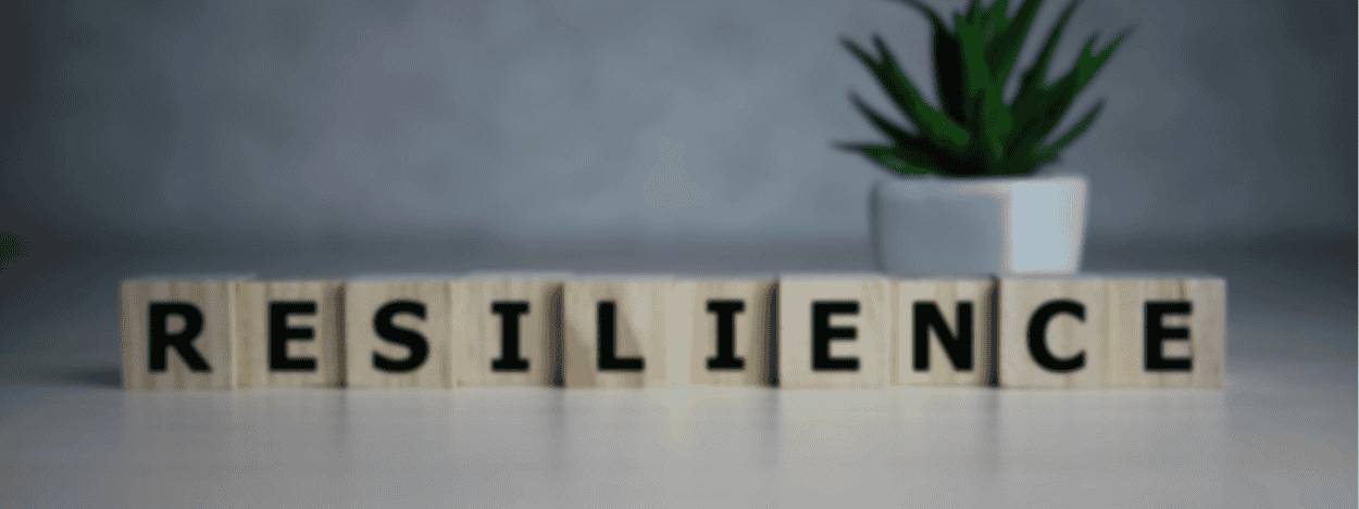 Resilience Training Courses and there Organizational Impact