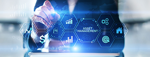 Asset Management