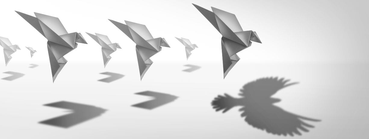 What Is Transformational Leadership Theory?